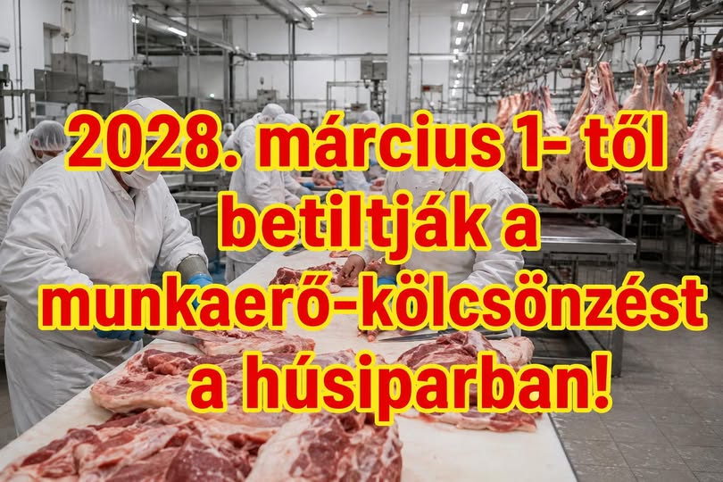 Munkaerő-kölcsönzési tilalom jön a húsiparban 2028-tól